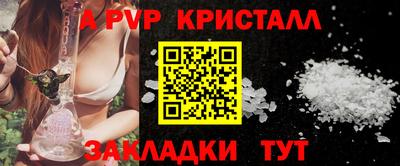 спиды Кингисепп