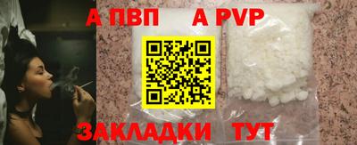 спиды Кингисепп